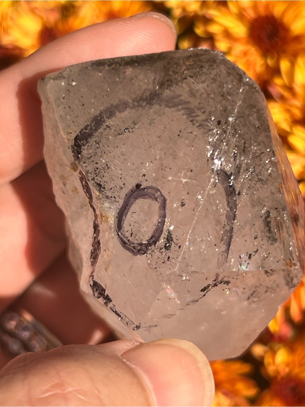 Enhydro (2) quartz Freeform | crystal